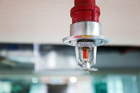 Fire Sprinkler