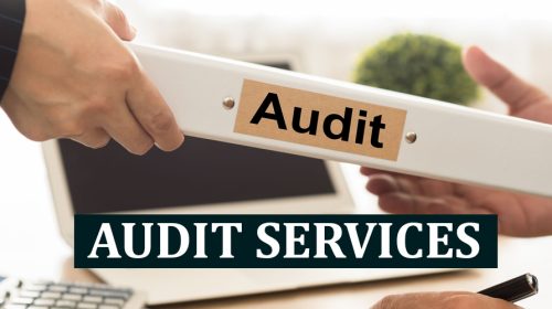 Audit Services