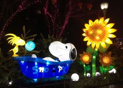 custom lantern festival supplier