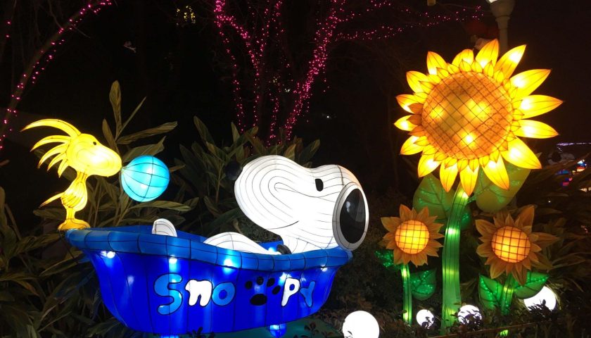 custom lantern festival supplier