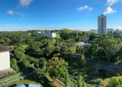 Island Residences Condo: Long-Term Living and Investment Considerations